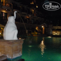 фото из отзыва ID 1618658