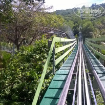 фото из отзыва ID 1619047