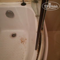 фото из отзыва ID 1619177