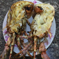 фото из отзыва ID 1619246