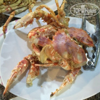 фото из отзыва ID 1619246