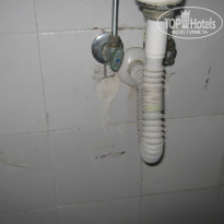 фото из отзыва ID 1619323