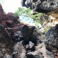 фото из отзыва ID 1619337