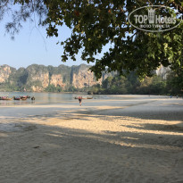 фото из отзыва ID 1619337