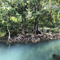 фото из отзыва ID 1619337