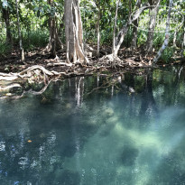 фото из отзыва ID 1619337