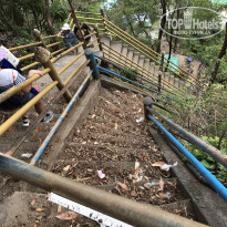 фото из отзыва ID 1619337