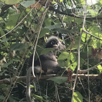 фото из отзыва ID 1619337