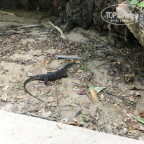 фото из отзыва ID 1619337