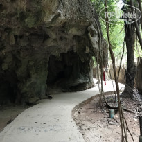 фото из отзыва ID 1619337