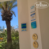 фото из отзыва ID 1619348