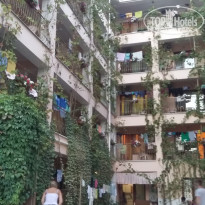 фото из отзыва ID 1619057