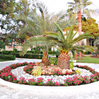 фото из отзыва ID 1619446