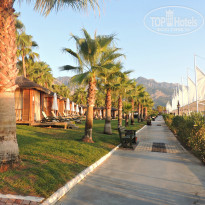 фото из отзыва ID 1619446