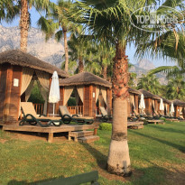 фото из отзыва ID 1619446