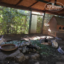 фото из отзыва ID 1619446