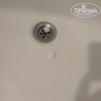 фото из отзыва ID 1619527