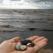 фото из отзыва ID 1619602