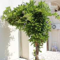 фото из отзыва ID 1619698