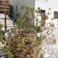 фото из отзыва ID 1619698