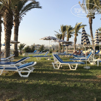 фото из отзыва ID 1619765