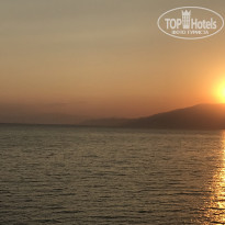 фото из отзыва ID 1619816