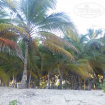 фото из отзыва ID 1619830