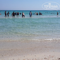 фото из отзыва ID 1619839