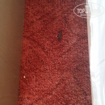 фото из отзыва ID 1619918