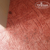 фото из отзыва ID 1619918