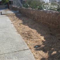 фото из отзыва ID 1619918