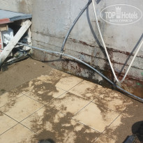 фото из отзыва ID 1619918