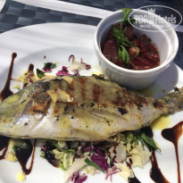 фото из отзыва ID 1619347