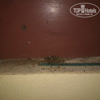 фото из отзыва ID 1619993