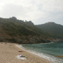 фото из отзыва ID 1615584