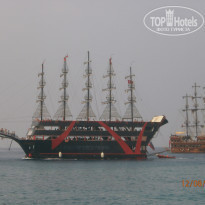 фото из отзыва ID 1615584