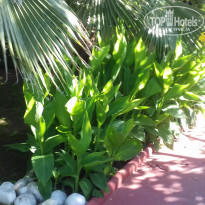 фото из отзыва ID 1617717