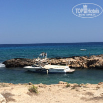 фото из отзыва ID 1617490