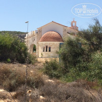 фото из отзыва ID 1617490