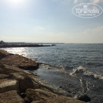 фото из отзыва ID 1616054