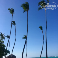 фото из отзыва ID 1619250