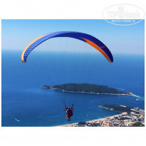 фото из отзыва ID 1611254