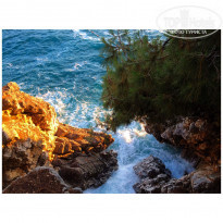 фото из отзыва ID 1611254