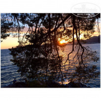 фото из отзыва ID 1611254