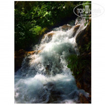 фото из отзыва ID 1611254