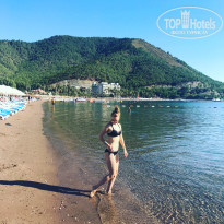 фото из отзыва ID 1618296