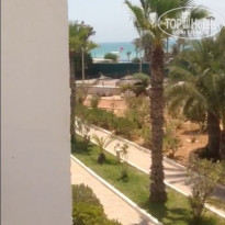 фото из отзыва ID 1611307