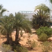 фото из отзыва ID 1611307