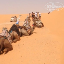 фото из отзыва ID 1611307