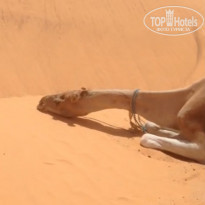 фото из отзыва ID 1611307